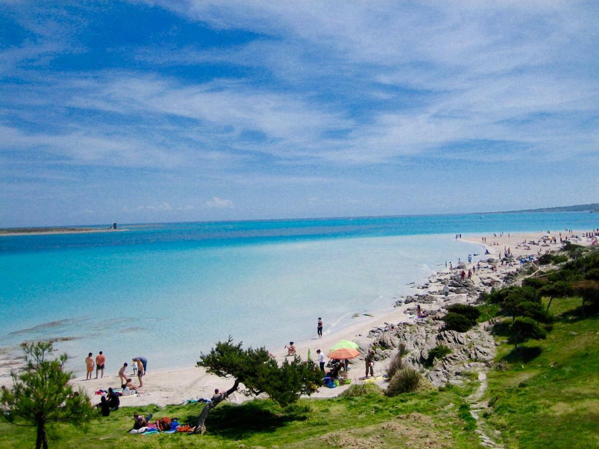 Apartament Lucia 150Mt From Beach Кастельсардо Экстерьер фото